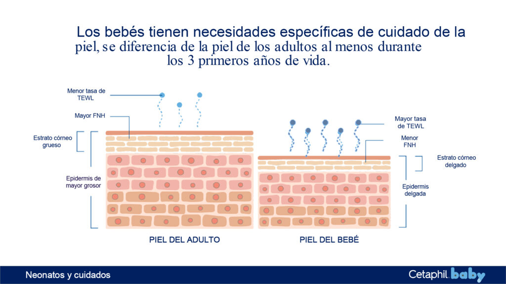 Portafolio Baby Cetaphil_1