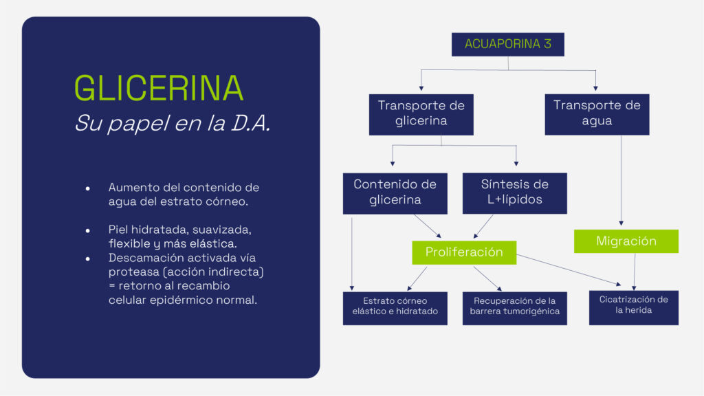 Portafolio Limpieza Cetaphil_4