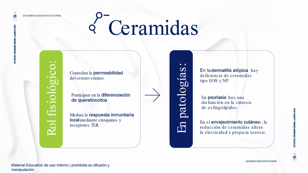 Portafolio Serums Cetaphil_5