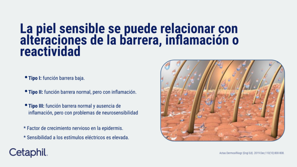 Que es piel sensible.pptx (15)