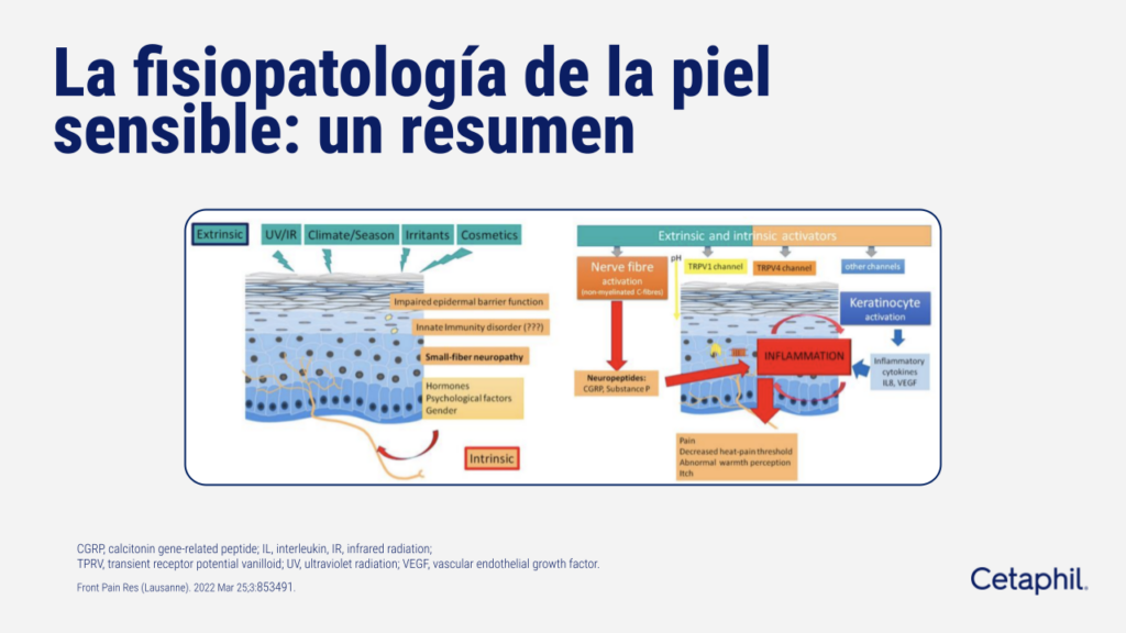 Que es piel sensible.pptx (3)